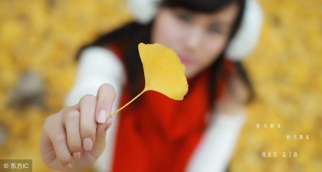 商城網(wǎng)站建設(shè)