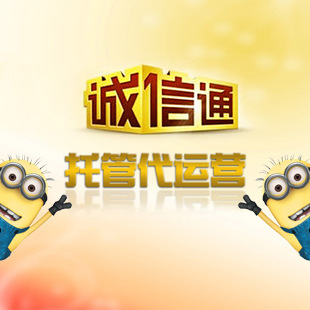 商城網(wǎng)站建設(shè)